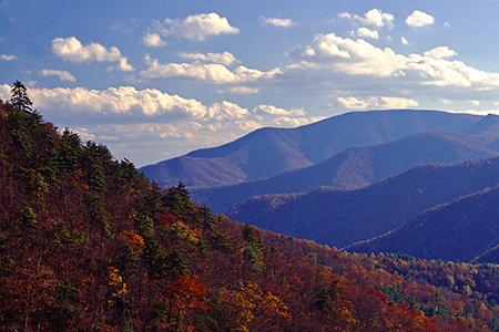 Fall View on the Trail to White Rock Falls, Blue Ridge Parkway, VA